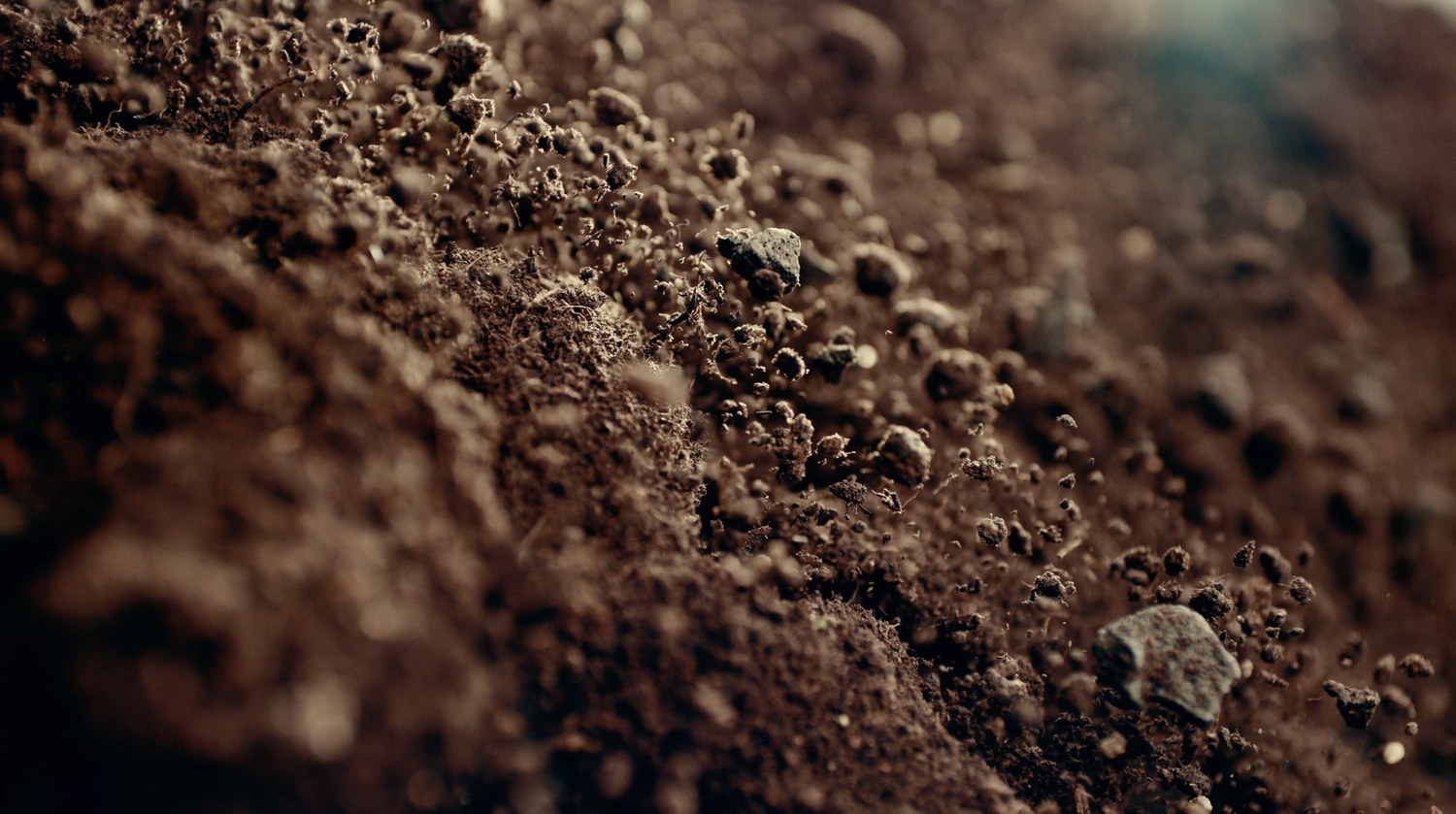 Macro do solo, a terra vista de perto