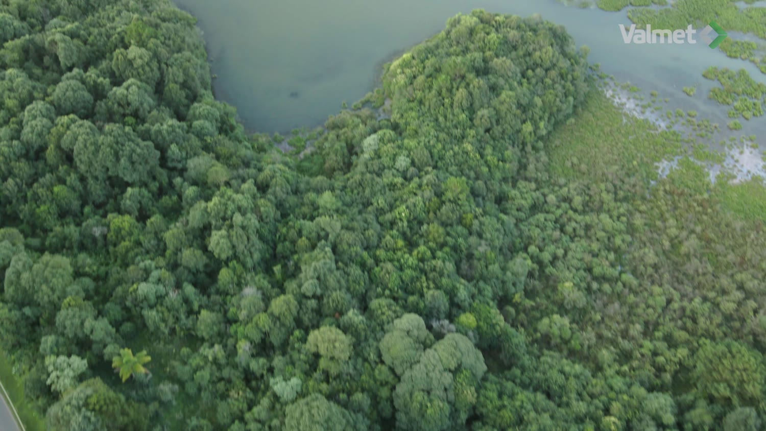 Vista aérea da mata e do rio em volta da fábrica
