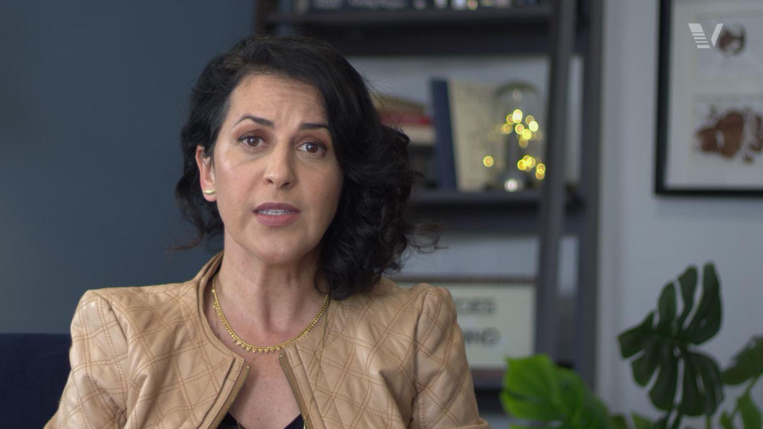 Dra. Laila Proença conta como a Vetahead nasceu